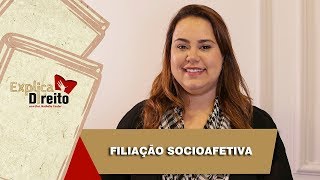 Explica Direito Filiação Socioafetiva  2019 [upl. by Eniamreg]