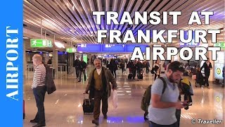 TRANSIT WALK AT FRANKFURT Airport FRA Terminal 1  Connection Flight Transfer Arriving amp Departing [upl. by Aisirtap682]